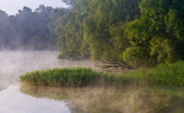 Im Nebel / ***