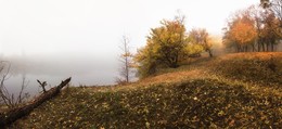 Misty Herbst / ***