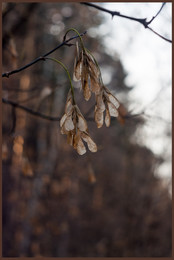 Herbst / ***