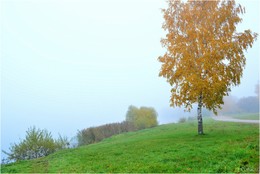 im Herbstnebel / ***