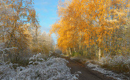 Der erste Schnee / nikond600 24-70 2.8