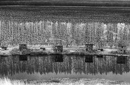 Spiegelung / ***