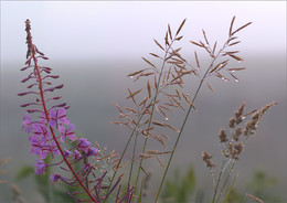 Morgen Etüde / .....