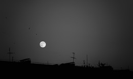 Full Moon. / ***