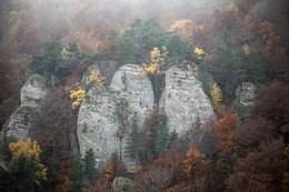 Nebel in den Bergen / ***