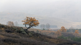 Herbst-Skizzen / ***