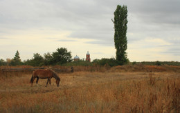 Landschaft im ländlichen Raum / ***