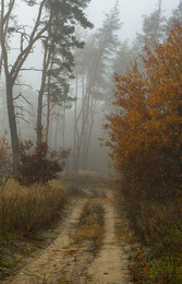 Straße zum Herbst / ***