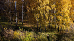 Goldener Herbst / ***