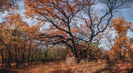 Herbst / ***