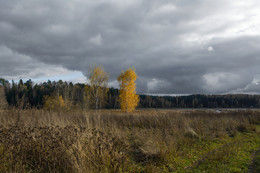 Herbst-Landschaft / ***