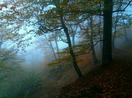 Herbst in den Bergen .... / ***