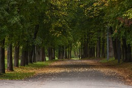 Herbst-Park / ***