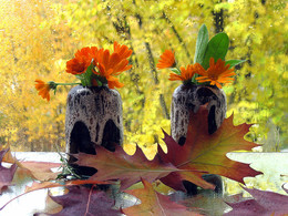 Sonnigen Herbsttag / ***