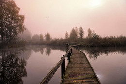 Nebelmorgen am Moorsee / ***