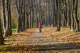 Herbst-Park / ***