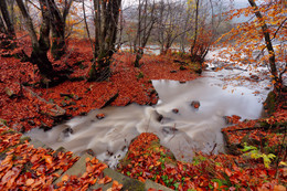 Herbst Creek / https://max-helloween.livejournal.com/153799.html