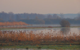 Morgen Landschaft / ***