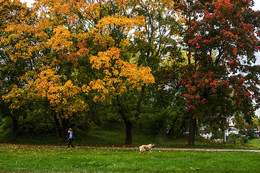 Herbst- Skizze. / ***