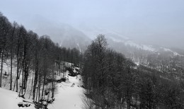 Schnee in den Bergen / ***