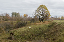 Herbst in der Ortschaft / ***