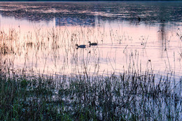 In der Sonnenuntergangs / ***