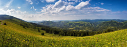 Die Juni-Panorama / ***