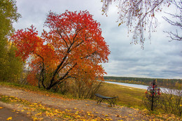 Herbstfarben / ***