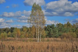 Herbstfarben / ***