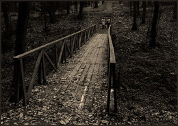 Brücke im Herbst / ***