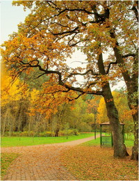 Im Herbst Park / ***