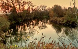 Verlassen Herbst / ***