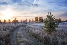 Frostigen Morgen. / ***