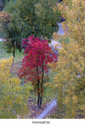 Bunte Herbst / ***