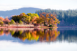 Autumn in Scotland / Trees and reflection in lake