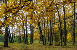 Wind des Wandels / ***