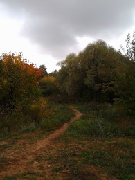 Bahn im Herbst / ***