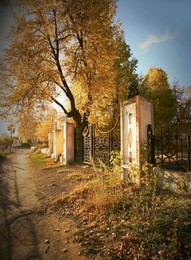 Landschaft / ***