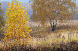 sanften Herbst / Nikon D7000