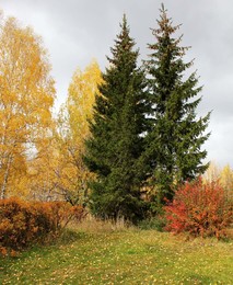 Herbst-Palette. / ***