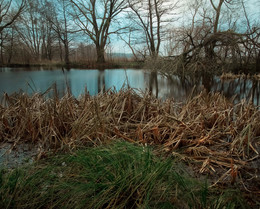 Auf dem See / ***