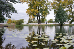 Herbst / ***