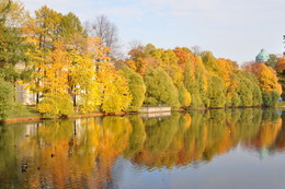 Goldener Herbst / ***