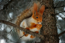 Lächeln / Exif: ISO 6400, 200mm, f6.3, 1/200s