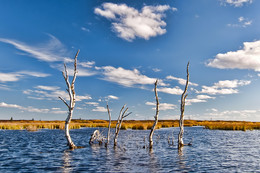 Tanz auf dem Wasser / ***