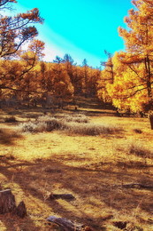 Srolnechnaya Glade / ***