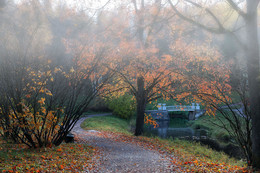 Brücke / ***