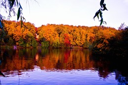 Erinnerungen des Herbstes / ***