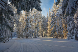 Winter-Nachmittag / ***