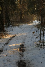 Straße im Winter / ***